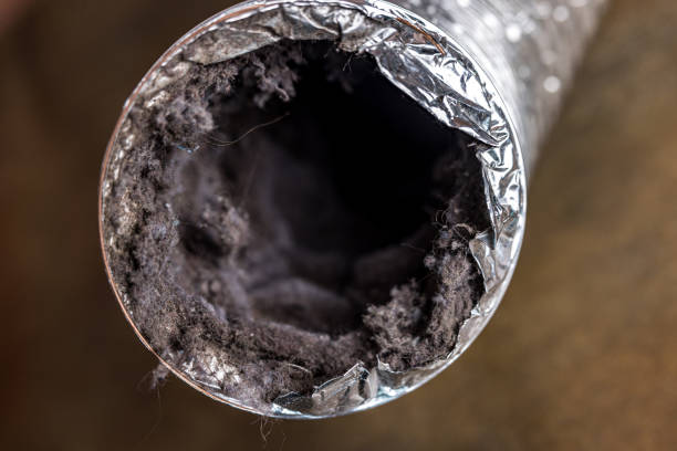 Best Best Air Duct Cleaning Company  in Valencia West, AZ